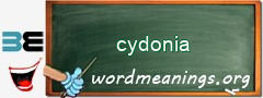 WordMeaning blackboard for cydonia